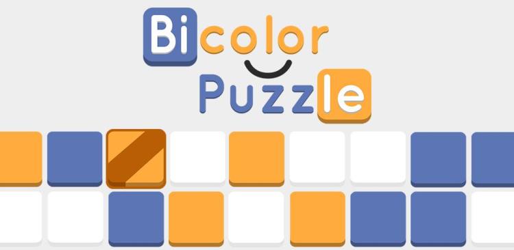 BiColor Puzzle